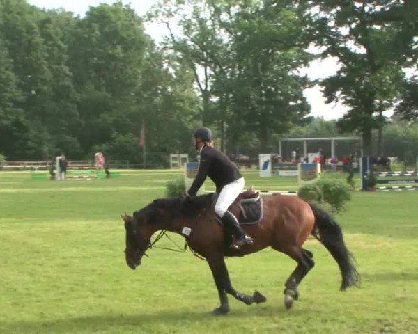 Reitturnier Hamburg-Friedrichshulde 2016