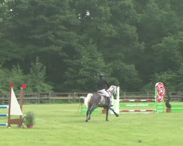 Reitturnier Hamburg-Friedrichshulde 2016