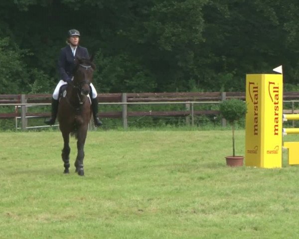 Reitturnier Hamburg-Friedrichshulde 2016