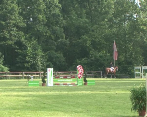 Reitturnier Hamburg-Friedrichshulde 2016