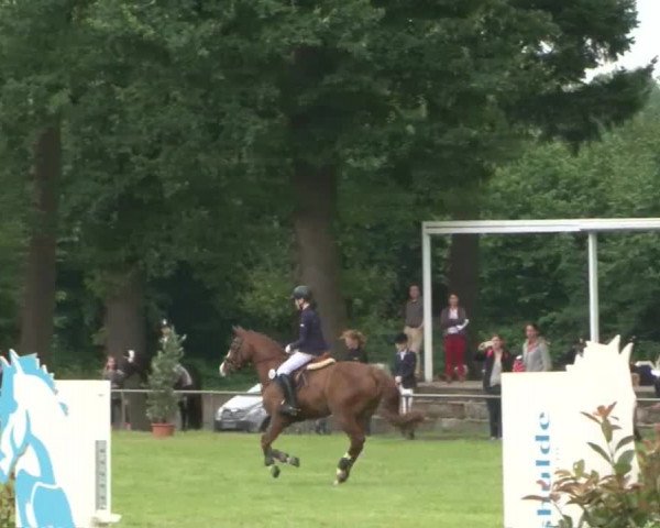 Reitturnier Hamburg-Friedrichshulde 2016