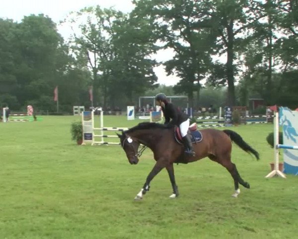 Reitturnier Hamburg-Friedrichshulde 2016