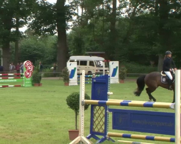 Reitturnier Hamburg-Friedrichshulde 2016