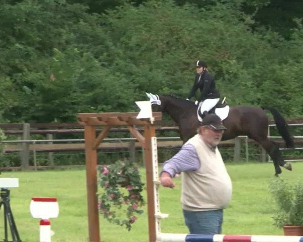 Reitturnier Hamburg-Friedrichshulde 2016