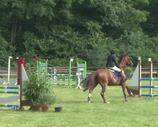 Reitturnier Hamburg-Friedrichshulde 2016