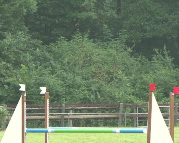 Reitturnier Hamburg-Friedrichshulde 2016