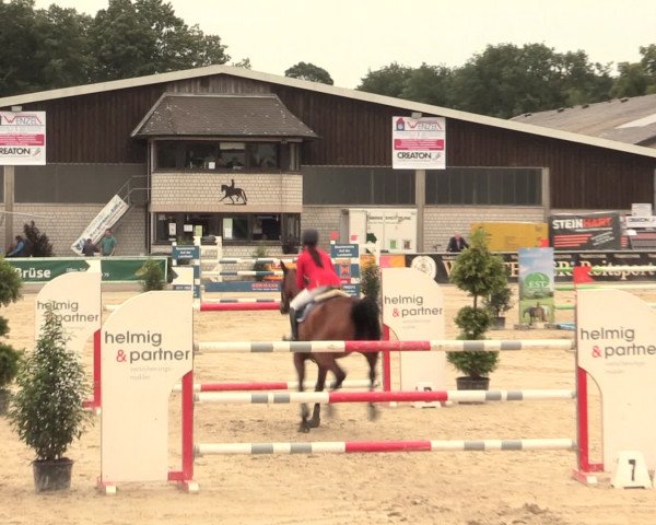 Reitturnier Olfen-Vinnum 2016