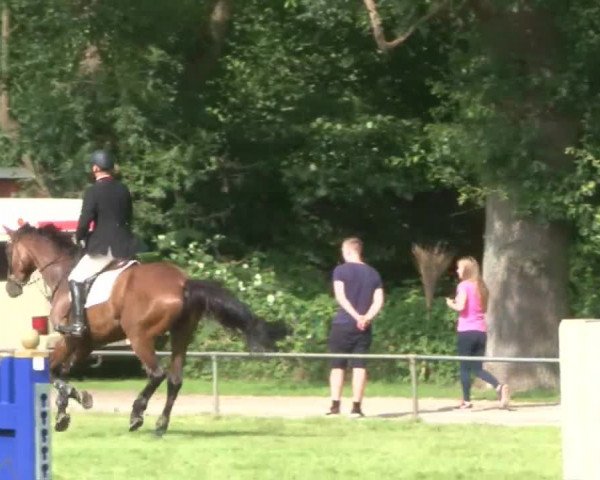 Reitturnier Hamburg-Friedrichshulde 2016