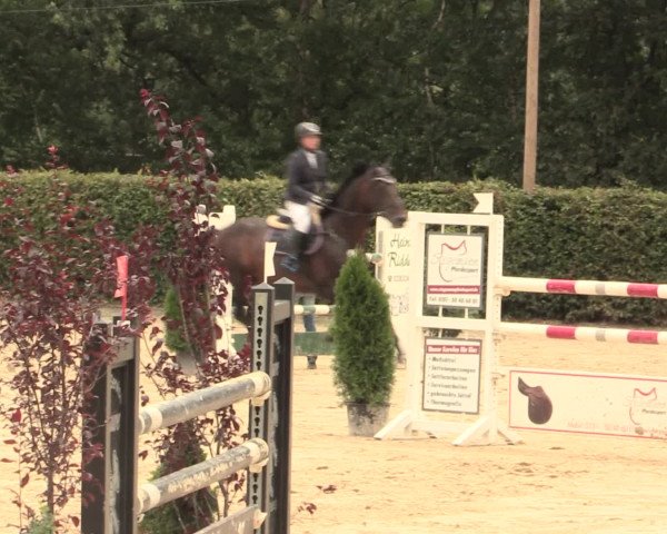 Reitturnier Olfen-Vinnum 2016