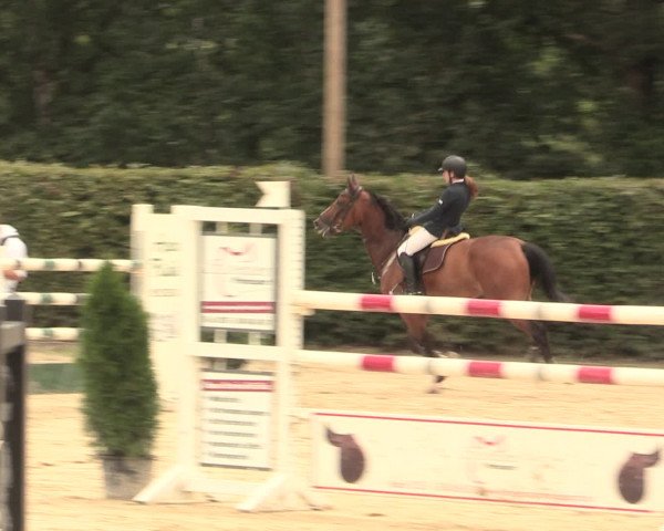 Reitturnier Olfen-Vinnum 2016