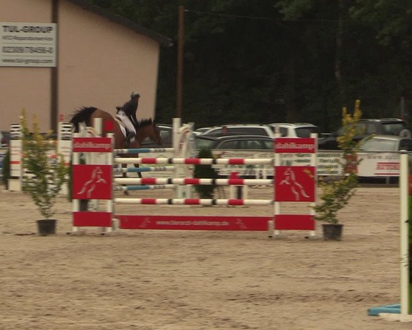 Reitturnier Olfen-Vinnum 2016