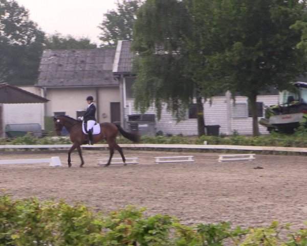 Reitturnier Olfen-Vinnum 2016