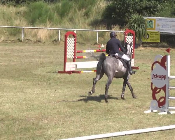 Reitturnier Idar-Oberstein 2016
