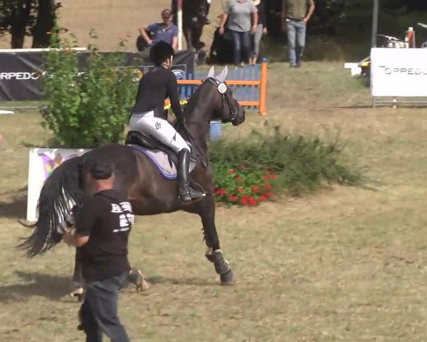 Reitturnier Idar-Oberstein 2016
