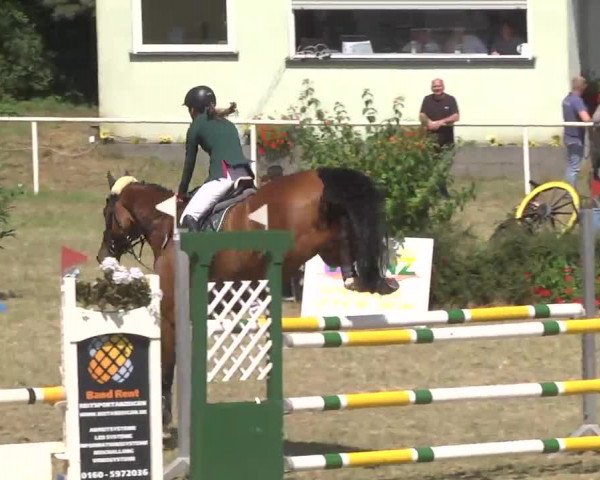 Reitturnier Idar-Oberstein 2016