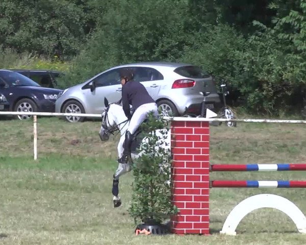 Reitturnier Idar-Oberstein 2016