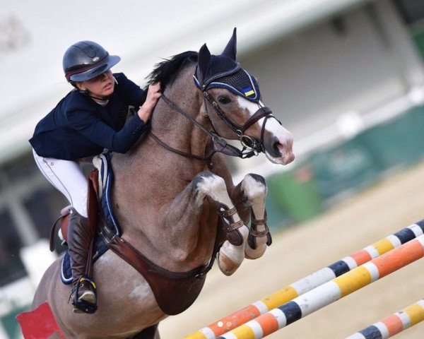 Springhest Osman (Westfalere, 2005, fra Jumex Sport Atlantus)