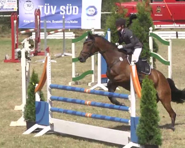 Reitturnier Idar-Oberstein 2016