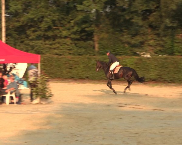 Reitturnier Olfen-Vinnum 2016