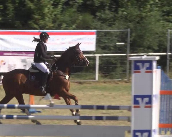 Reitturnier Idar-Oberstein 2016
