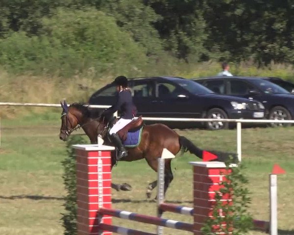 Reitturnier Idar-Oberstein 2016