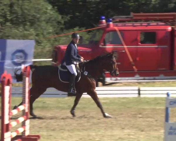 Reitturnier Idar-Oberstein 2016