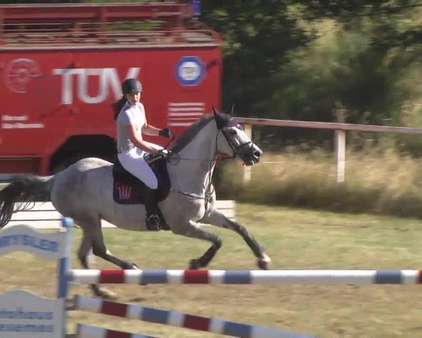 Reitturnier Idar-Oberstein 2016