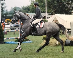 broodmare Fynna (Hanoverian, 2015, from Finest)