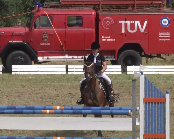 Reitturnier Idar-Oberstein 2016