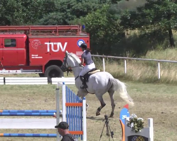 Reitturnier Idar-Oberstein 2016