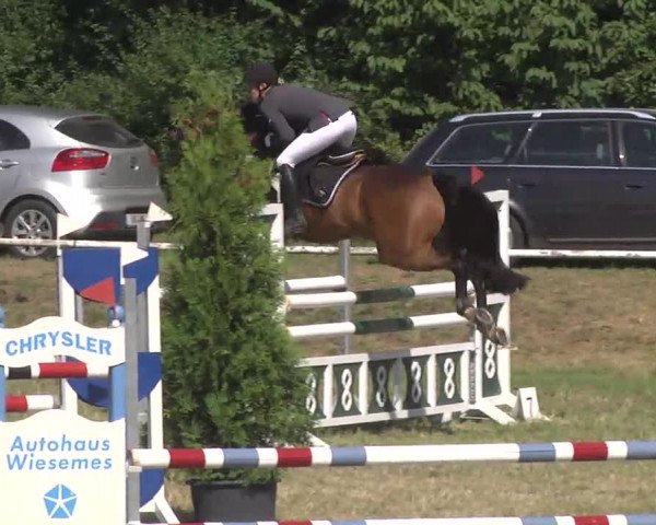 Reitturnier Idar-Oberstein 2016