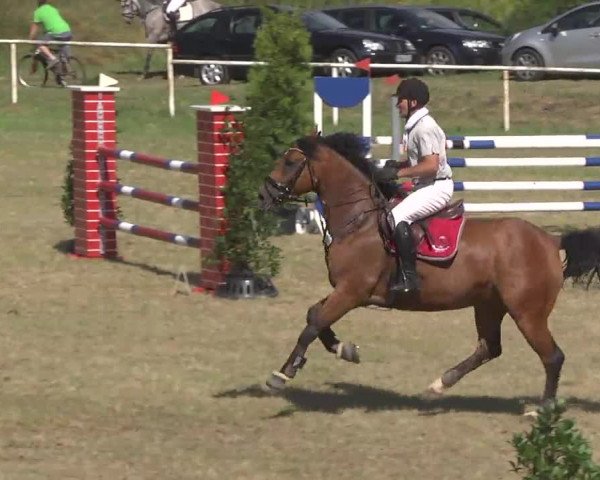Reitturnier Idar-Oberstein 2016