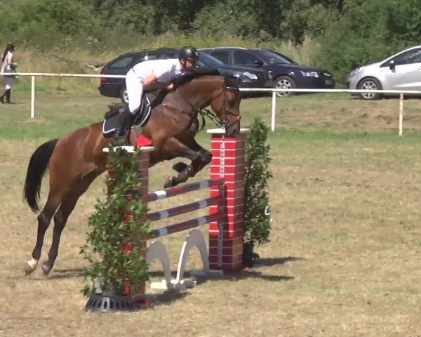 Reitturnier Idar-Oberstein 2016
