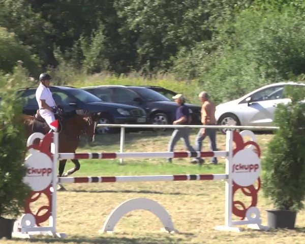 Reitturnier Idar-Oberstein 2016