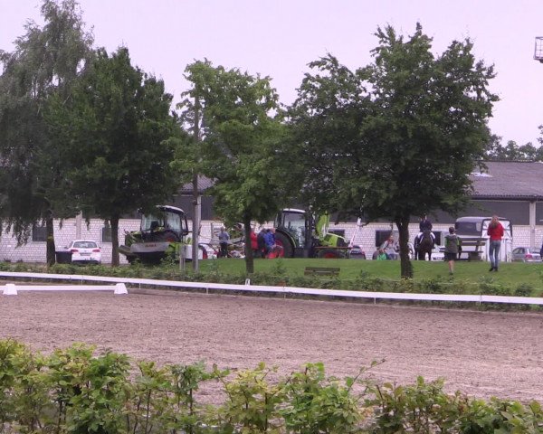 Reitturnier Olfen-Vinnum 2016