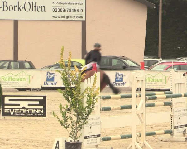 Reitturnier Olfen-Vinnum 2016