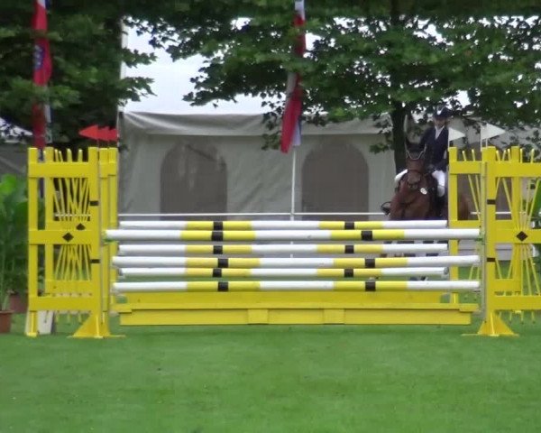 Reitturnier Zobbenitz 2016