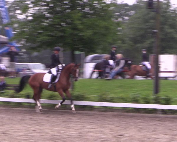 Reitturnier Olfen-Vinnum 2016