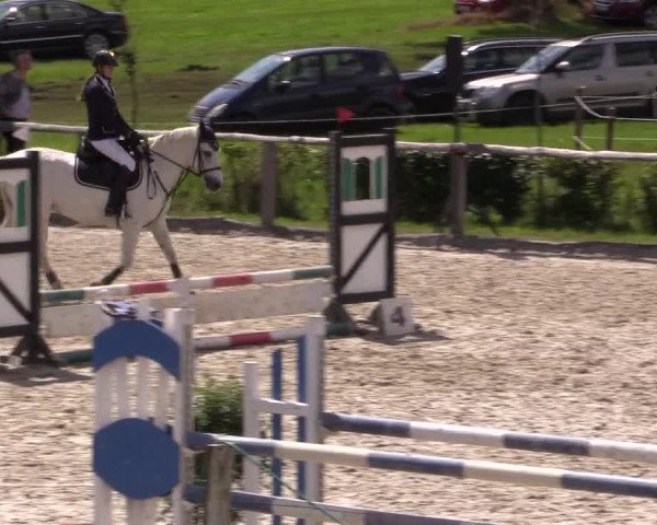 Reitturnier Monschau-Mützenich 2016
