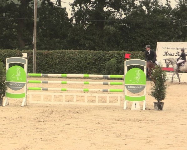 Reitturnier Olfen-Vinnum 2016