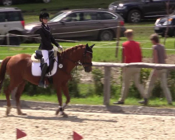 Reitturnier Monschau-Mützenich 2016