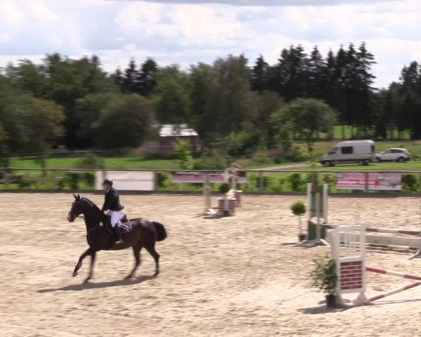 Reitturnier Monschau-Mützenich 2016