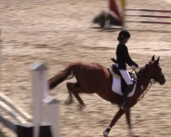 Reitturnier Monschau-Mützenich 2016