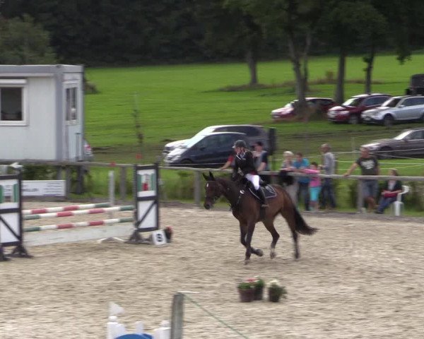 Reitturnier Monschau-Mützenich 2016