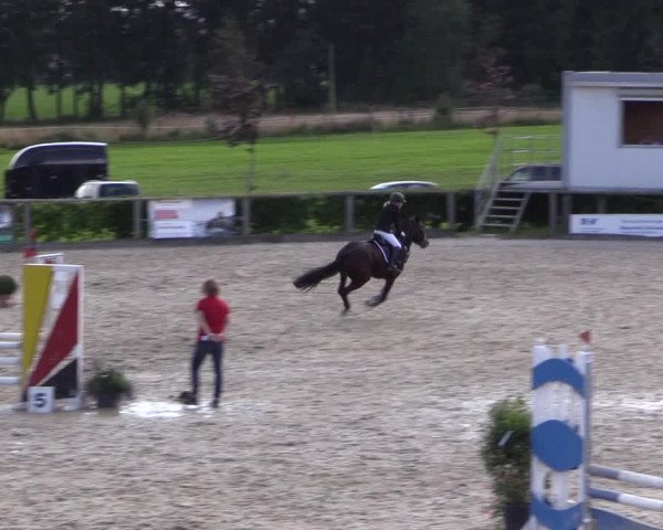 Reitturnier Monschau-Mützenich 2016