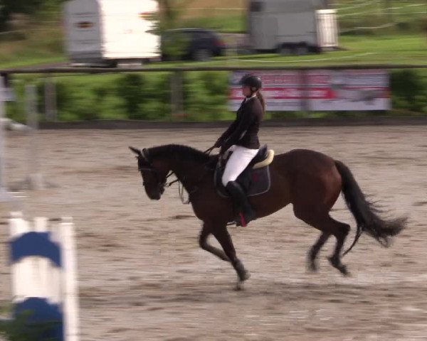 Reitturnier Monschau-Mützenich 2016