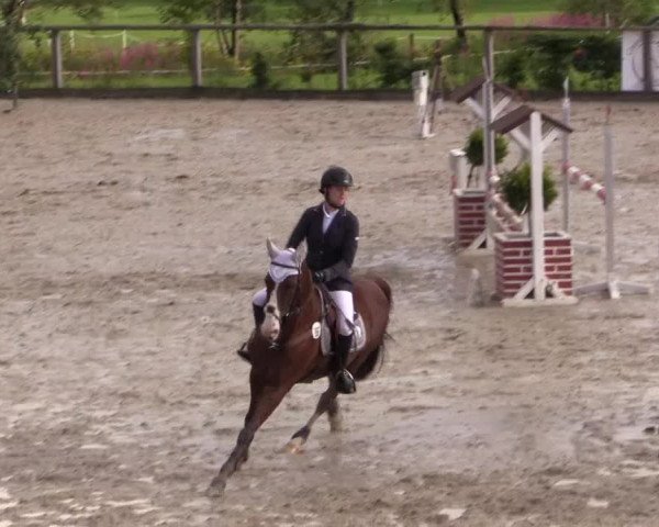 Reitturnier Monschau-Mützenich 2016