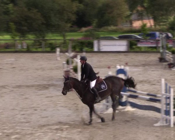 Reitturnier Monschau-Mützenich 2016