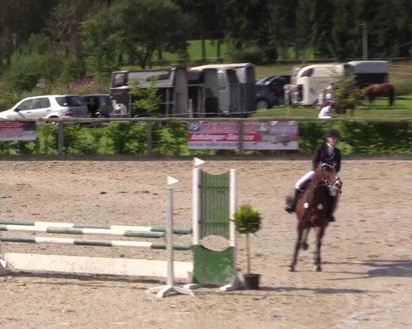 Reitturnier Monschau-Mützenich 2016