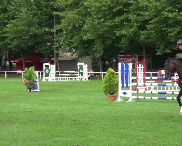 Reitturnier Zobbenitz 2016